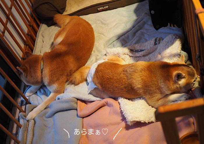 23日夜ブログ１