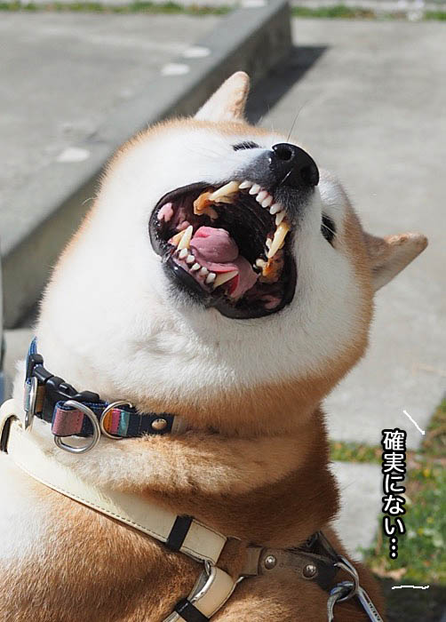 16日ブログ８