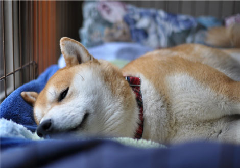 27日ブログ3.jpg