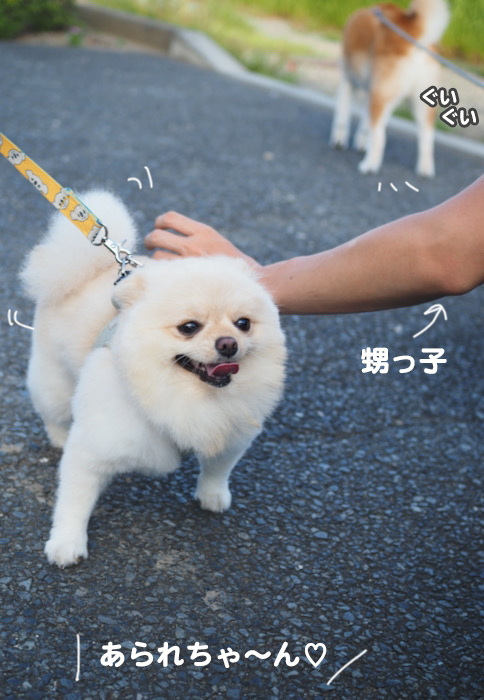 20日夕ブログ２