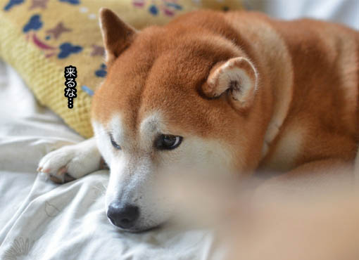 17日ブログ12.jpg