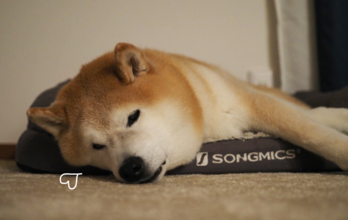 1日夕ブログ７