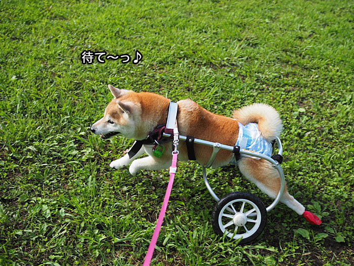 9日ブログ８
