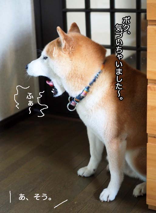 11日ブログ５