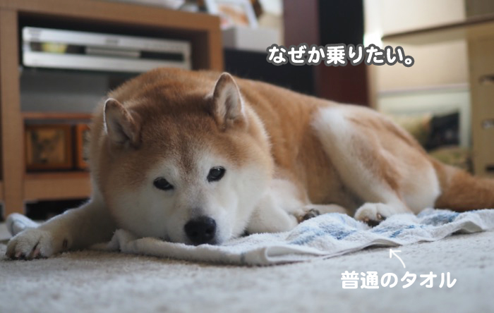24日夕ブログ２