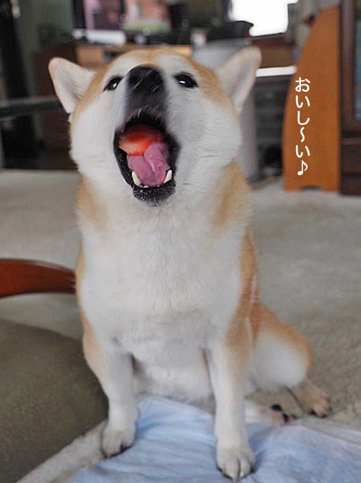 4日夜ブログ６