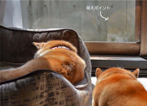 18日ブログ6.jpg