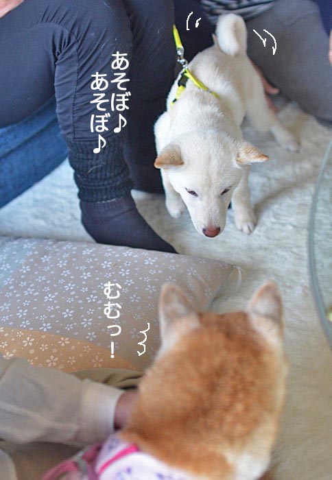 13日ブログ8
