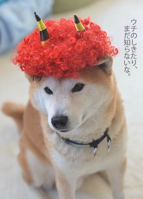3日ブログ４