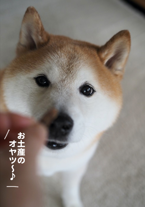 4日夕ブログ6