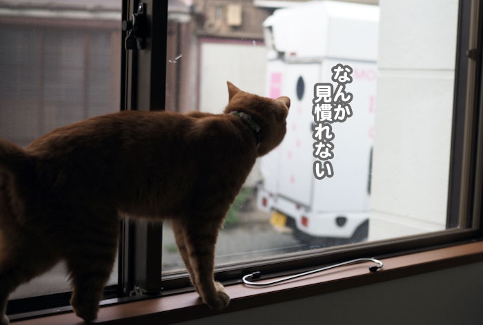 2日夕ブログ２