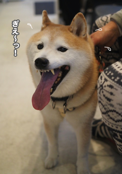 18日夕ブログ４