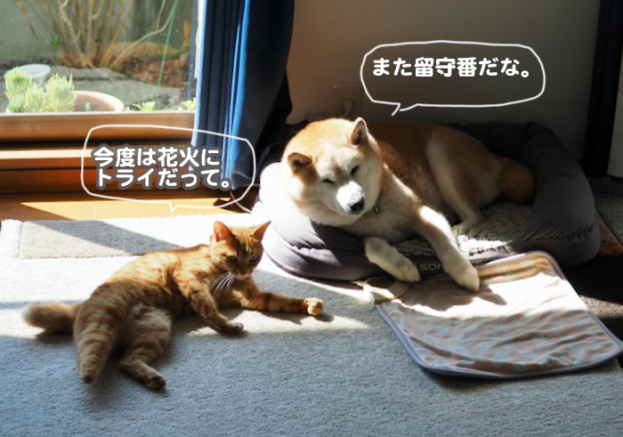 4日ブログ７