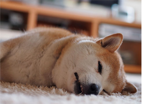 29日ブログ4.jpg