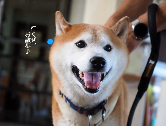 10日夕ブログ２