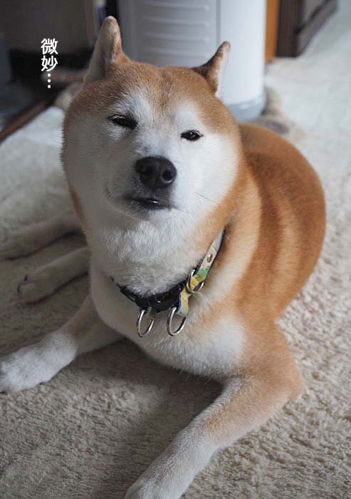 19日ブログ３