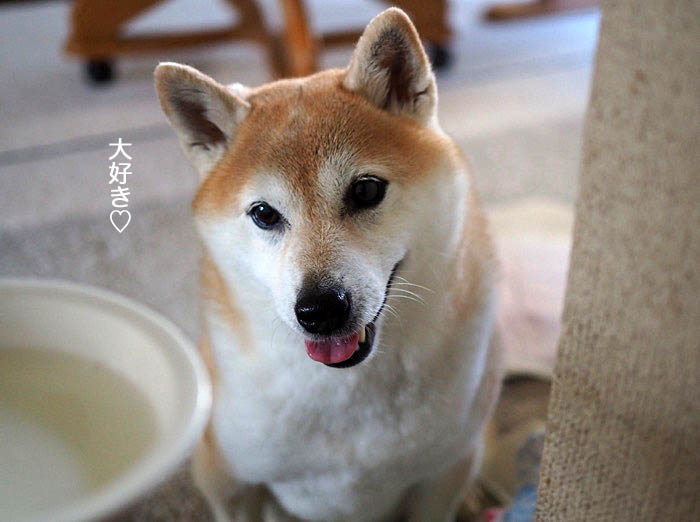 17日夜ブログ４