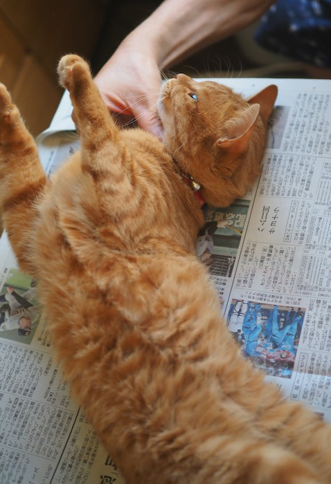 5日ブログ６