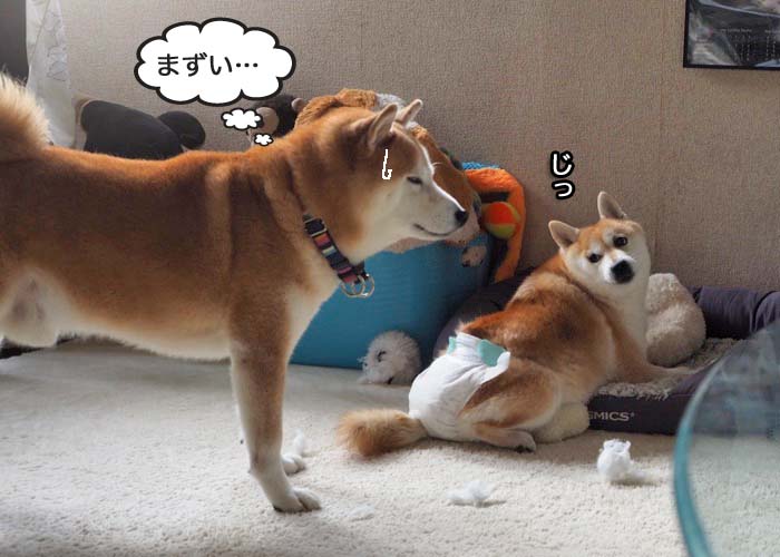 4日夜ブログ７