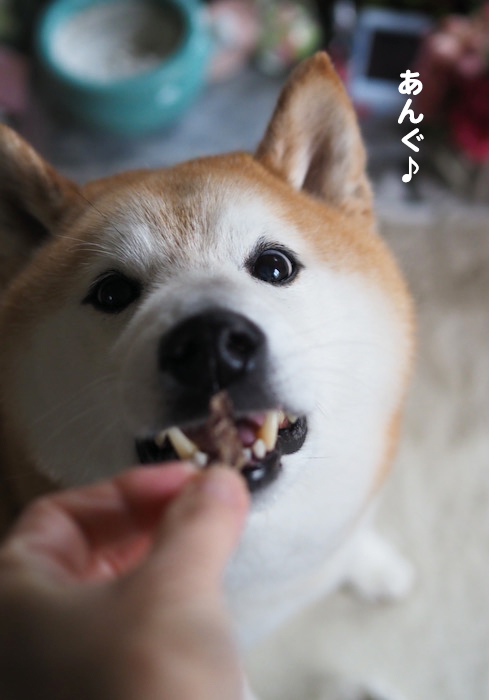 21日ブログ３
