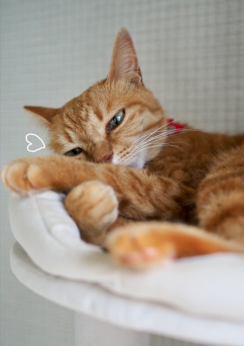 5日夕ブログ１１