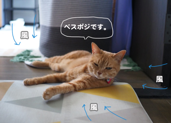 23日夕ブログ３