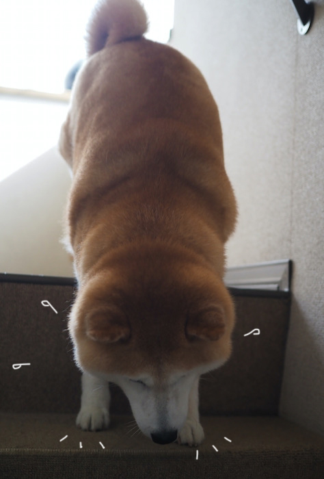 20日夕ブログ９