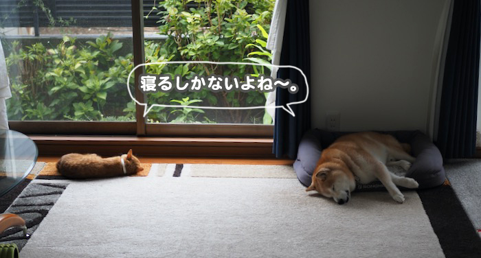 1日ブログ１