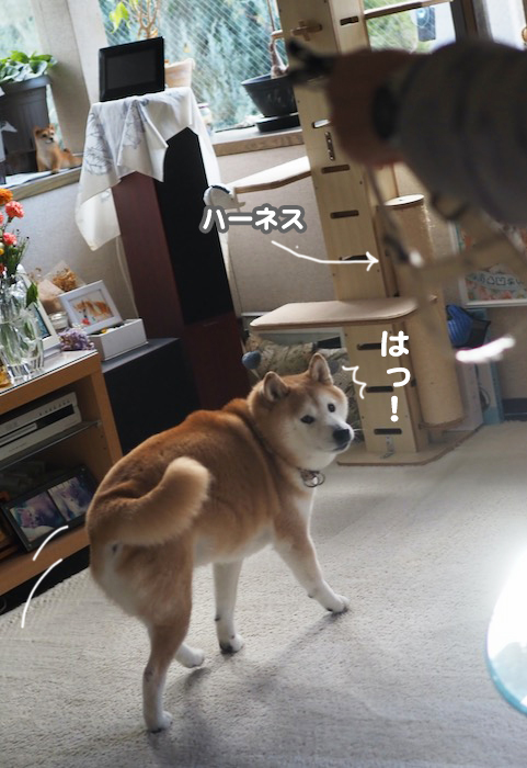 7日夕ブログ３