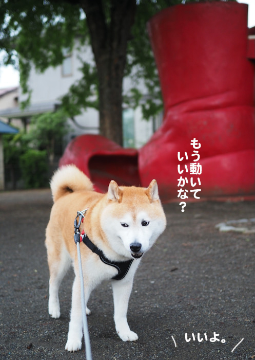 16日夜ブログ４