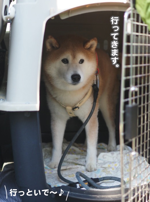 16日ブログ７
