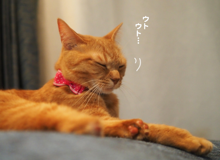28日夕ブログ４