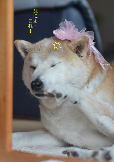 23日ブログ5.jpg
