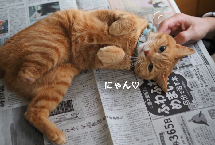 31日ブログ７