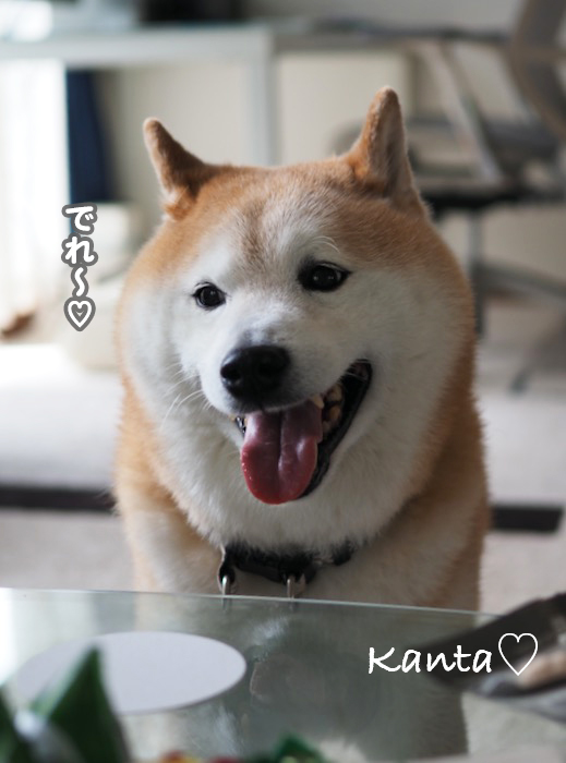 23日夕用４