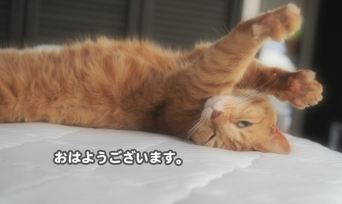 16日ブログ３