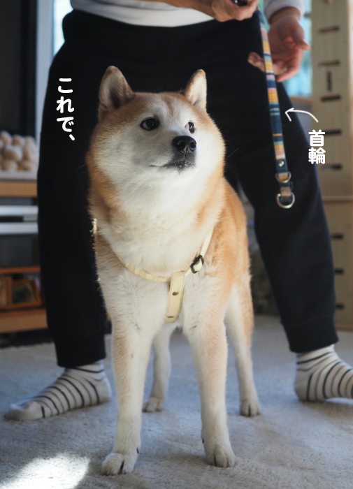 26日ブログ７