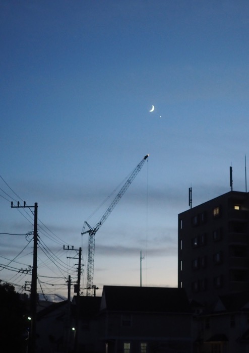9日夕用１