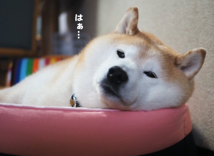 4日ブログ４