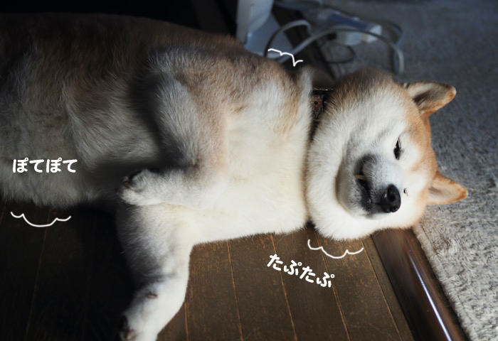 27日ブログ2