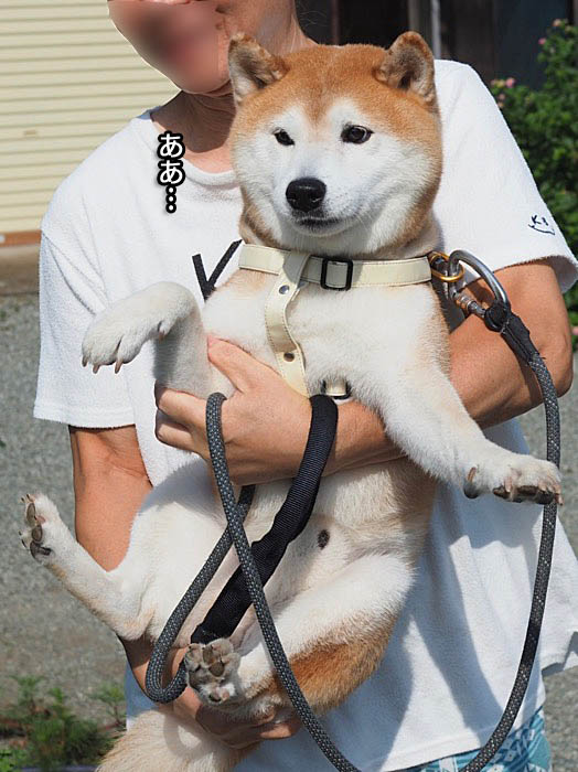 27日ブログ５