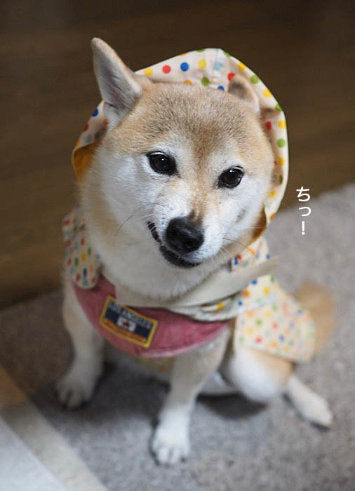14日夜ブログ２