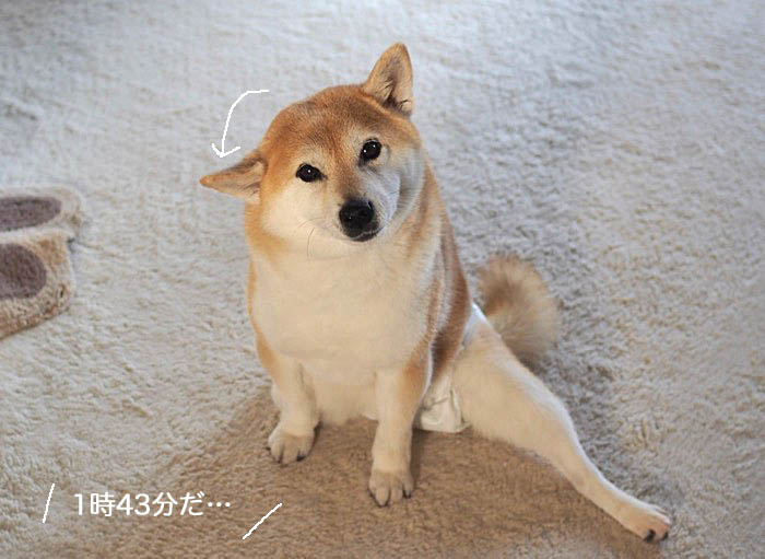12日ブログ５