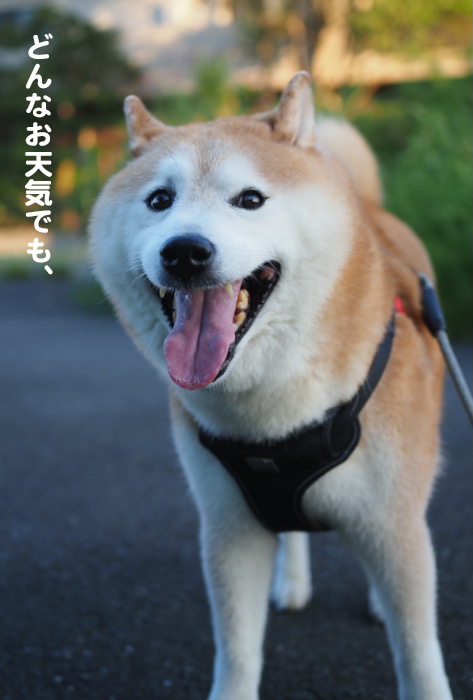 25日ブログ２