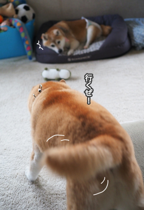 6日夕ブログ４
