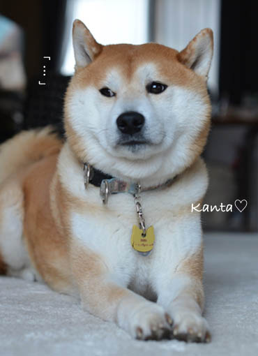 13日ブログ９.jpg