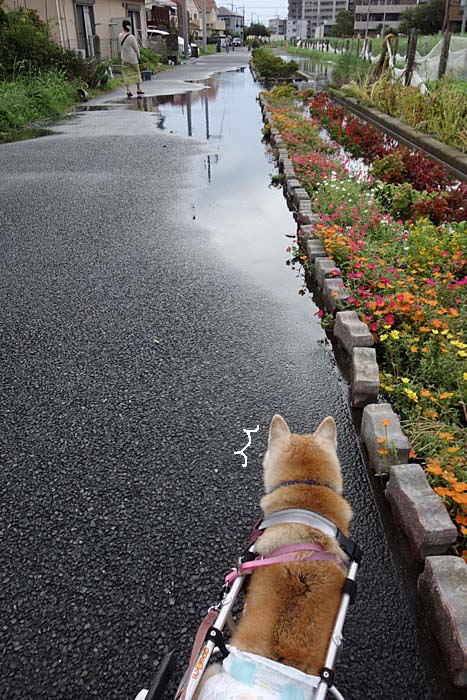 9日朝ブログ１