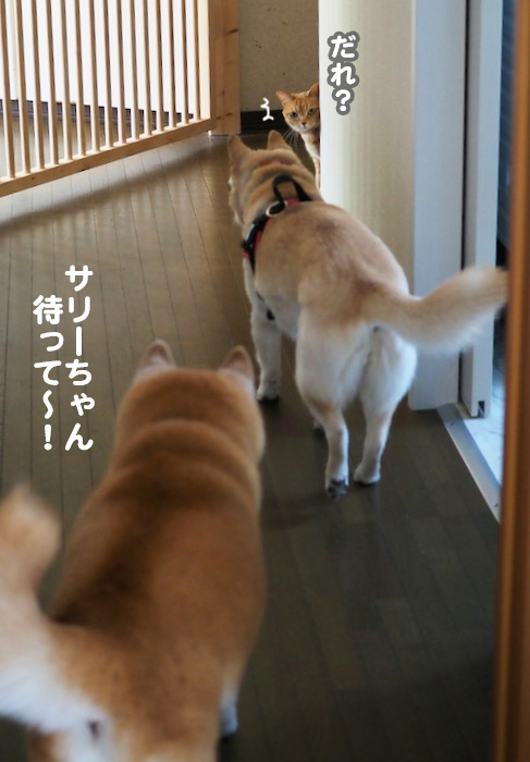 15日夕ブログ７