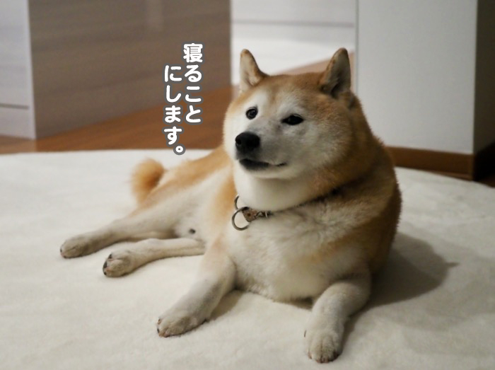 21日夕ブログ５