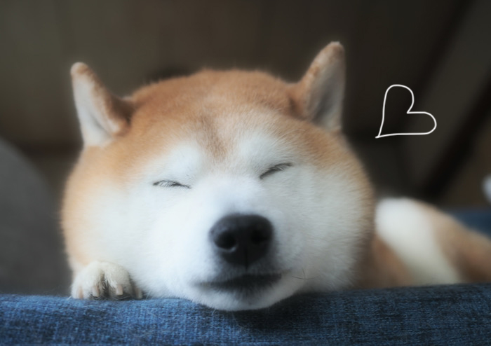 26日ブログ３